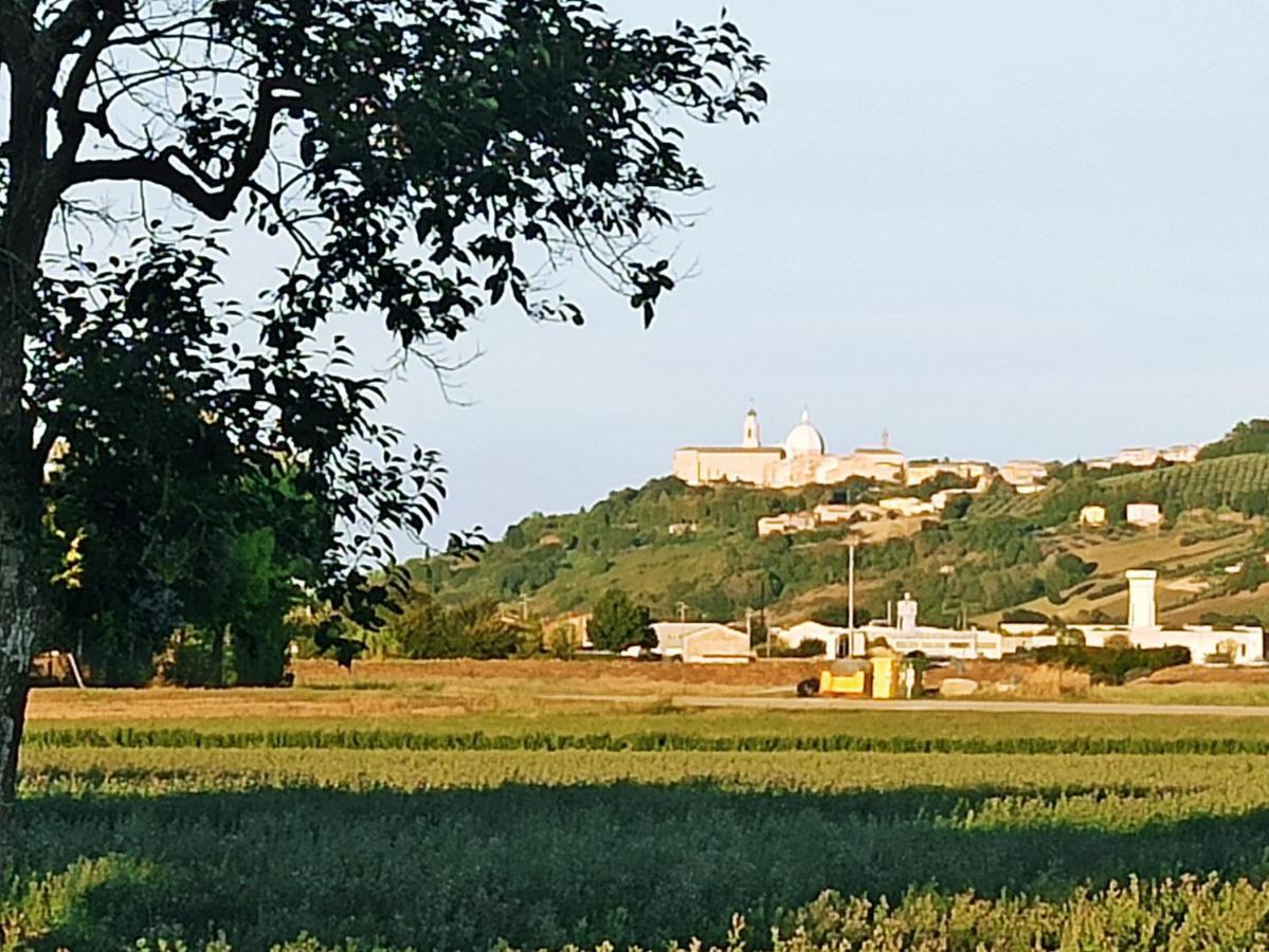 Appartamento Il Cipresso Casa Saraceni Esterno foto